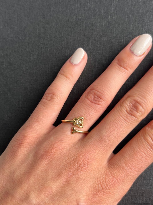 Verstelbare ring
